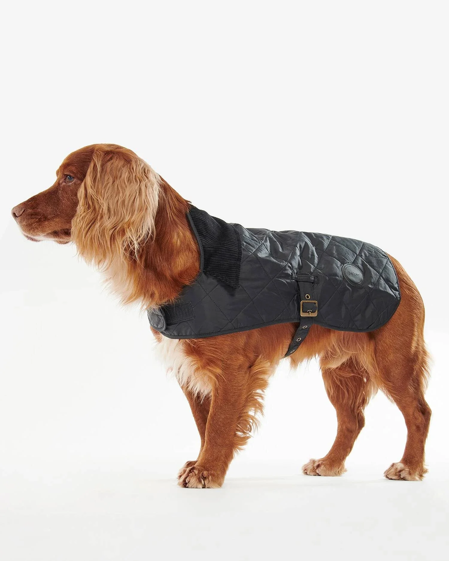 BARBOUR QUILTED DOG COAT - BLACK - Image 2