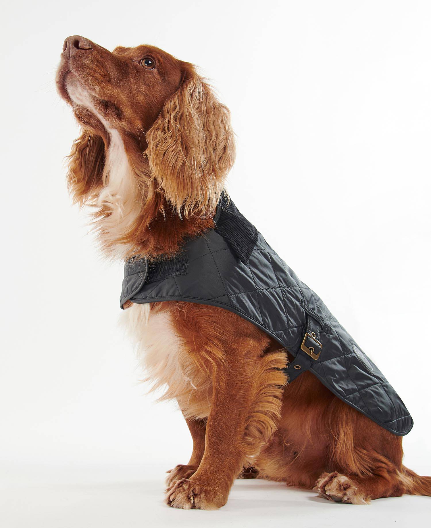 BARBOUR QUILTED DOG COAT - BLACK - Image 3