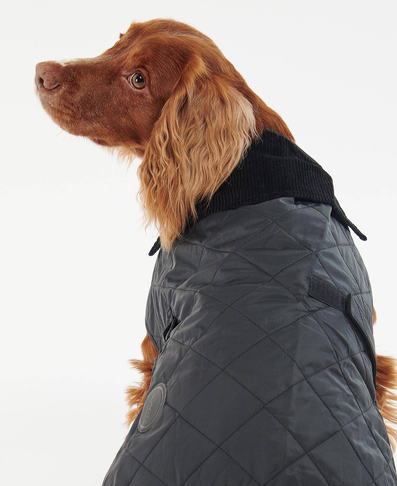 BARBOUR QUILTED DOG COAT - BLACK - Image 4